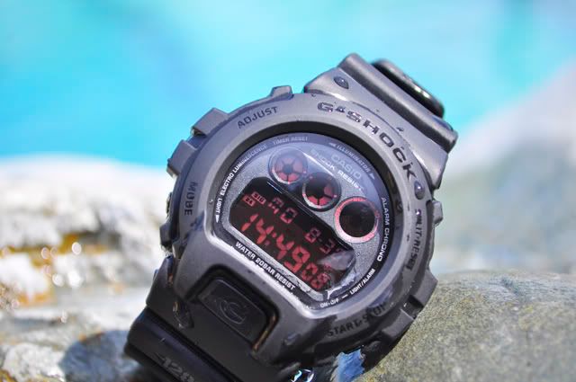 dw 6900 ms